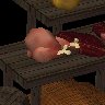Random Gallery Image